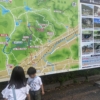 堂々川のホタル イメージ